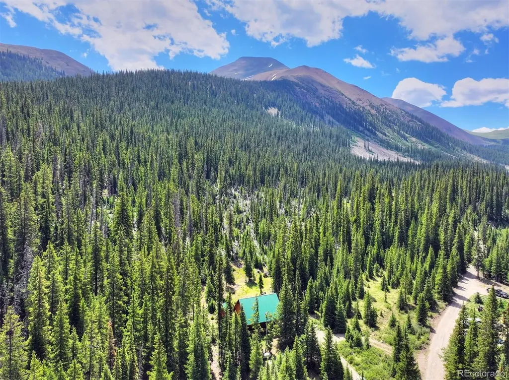 5621 French Gulch Road Breckenridge CO 80424