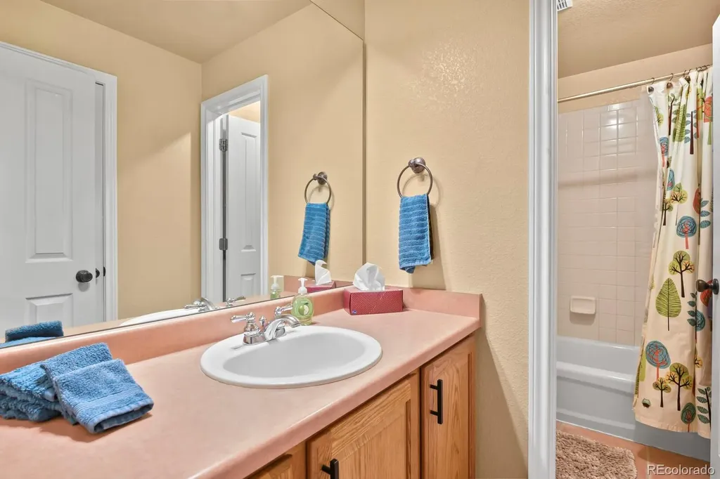4020 Brushwood Way Castle Rock CO 80109