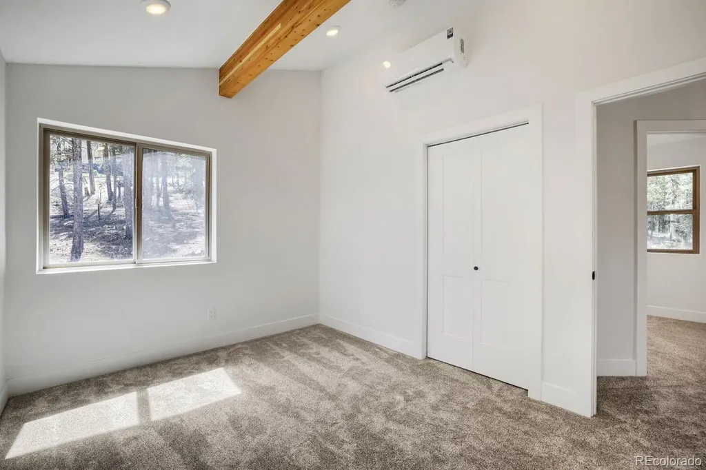 145 Spruce Alma CO 80420