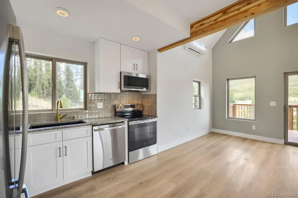 145 Spruce Alma CO 80420