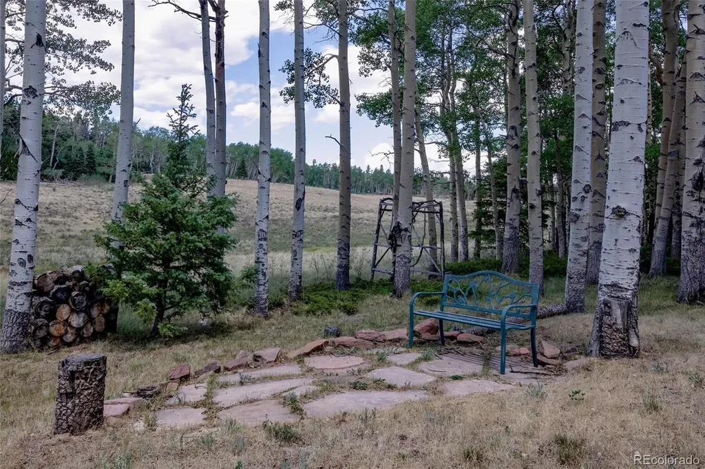 2842 Wendt Lane Fort Garland CO 81133