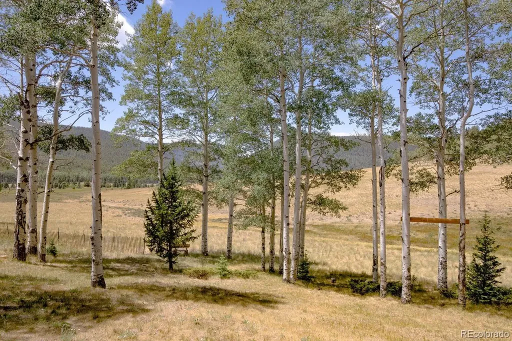 2842 Wendt Lane Fort Garland CO 81133