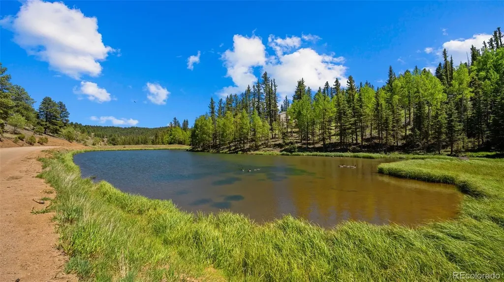 506 Ridge Road Divide CO 80814