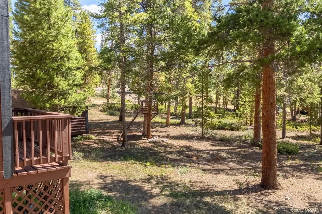 96 Grand County Road 6482 Grand Lake CO 80447