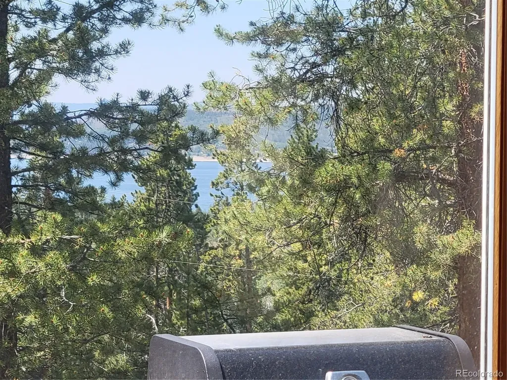 96 Grand County Road 6482 Grand Lake CO 80447