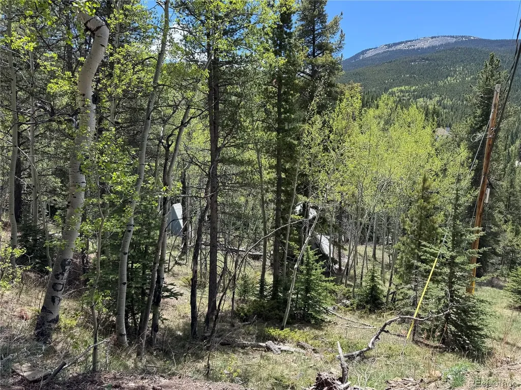 190 Blue Bell Lane Idaho Springs CO 80452