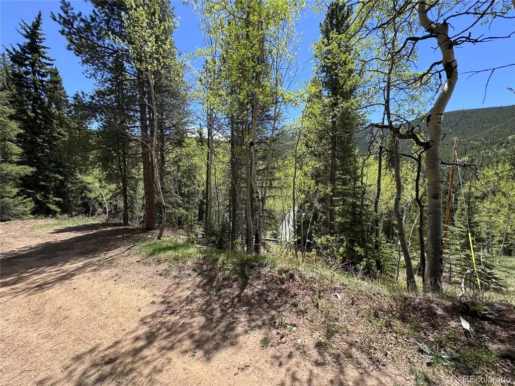 190 Blue Bell Lane Idaho Springs CO 80452