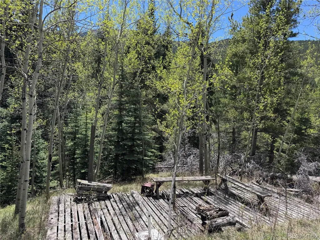 190 Blue Bell Lane Idaho Springs CO 80452
