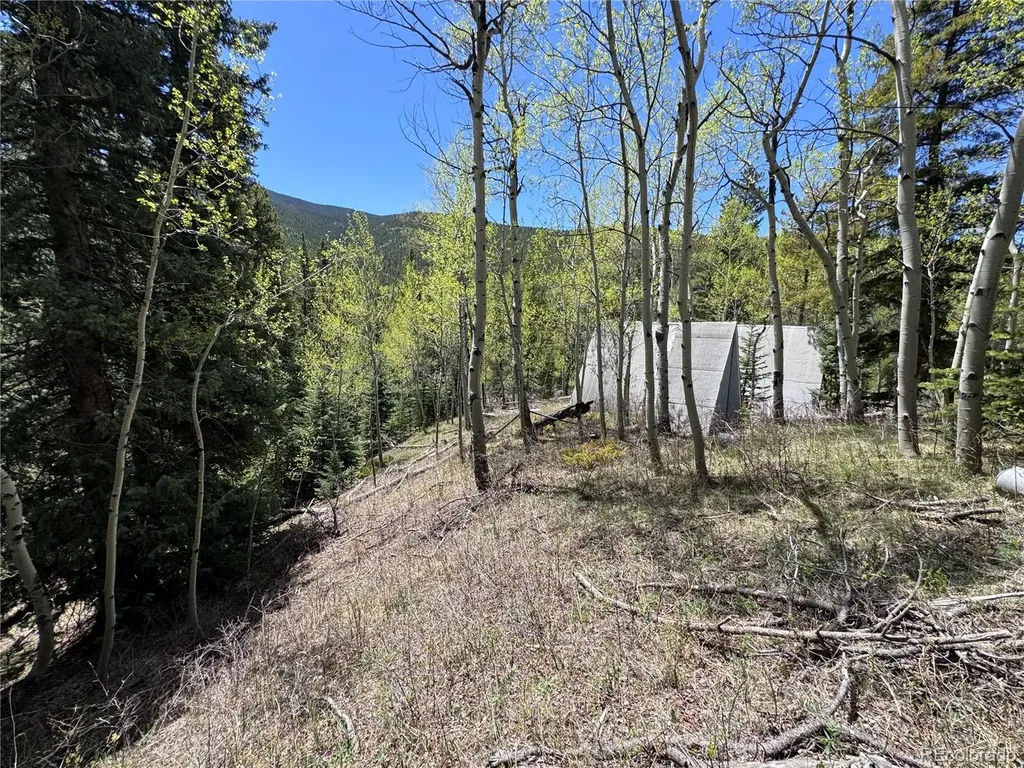 190 Blue Bell Lane Idaho Springs CO 80452