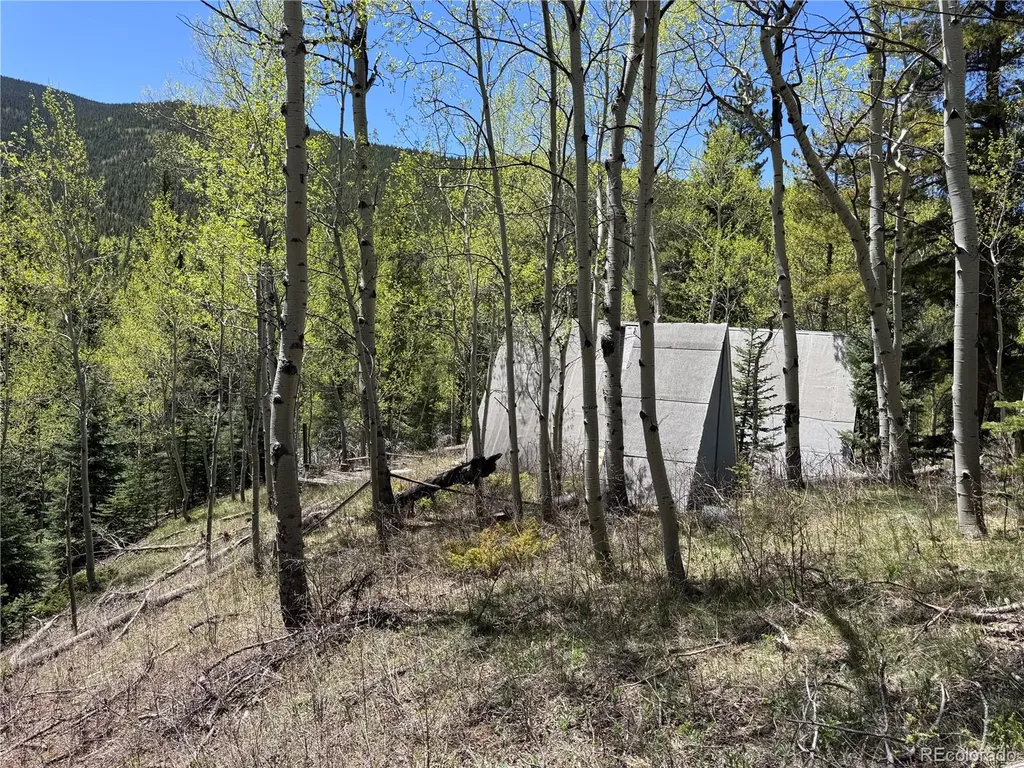 190 Blue Bell Lane Idaho Springs CO 80452