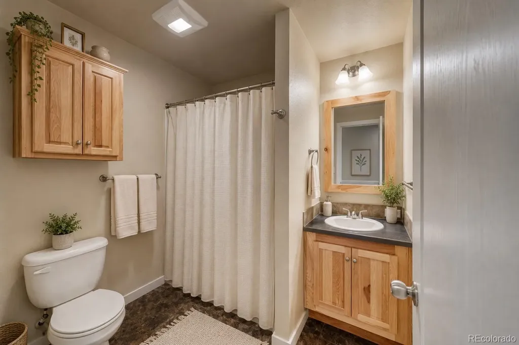 203 Chestnut Street Leadville CO 80461