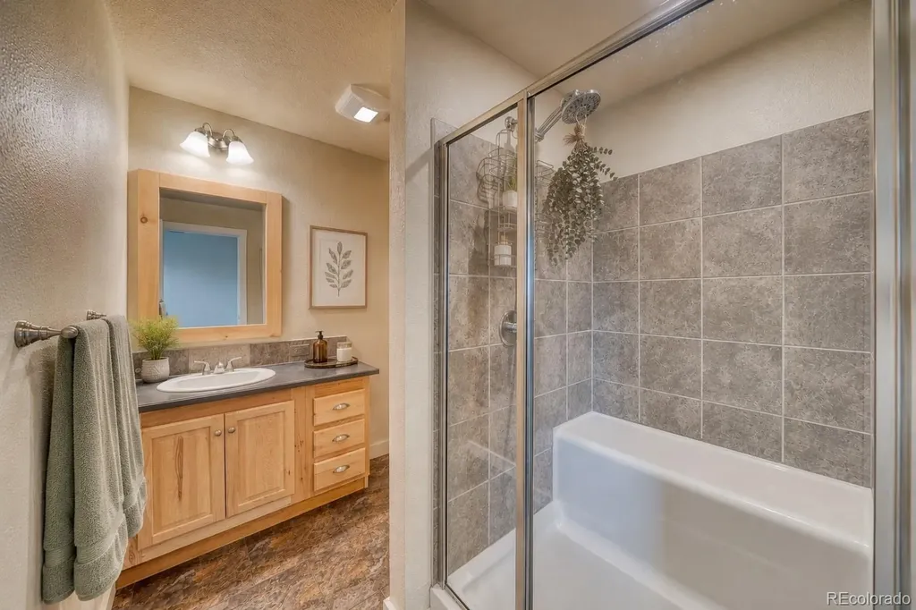 203 Chestnut Street Leadville CO 80461
