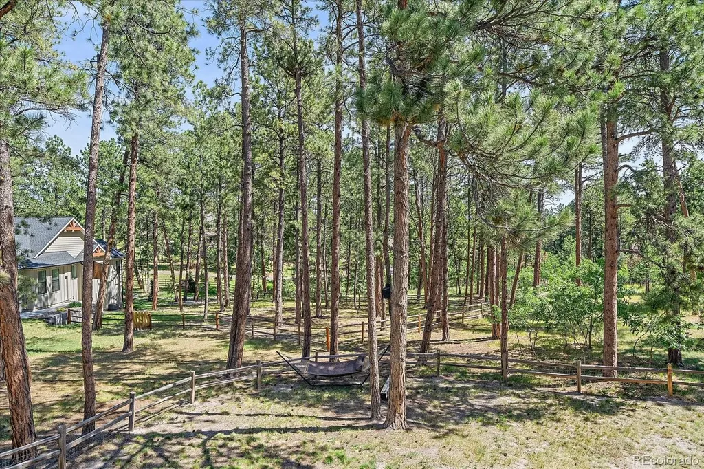 7418 Cameron Drive Larkspur CO 80118