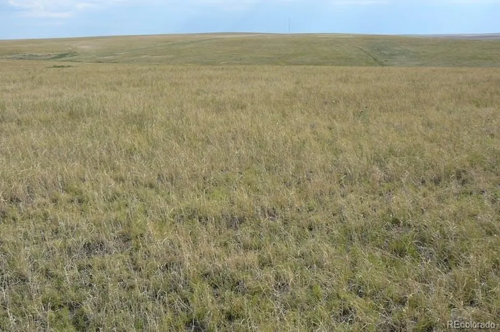 2215 Cr 269 Deer Trail CO 80105