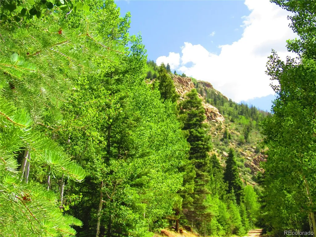 Lot 6473 Malcolm Road San Luis CO 81152