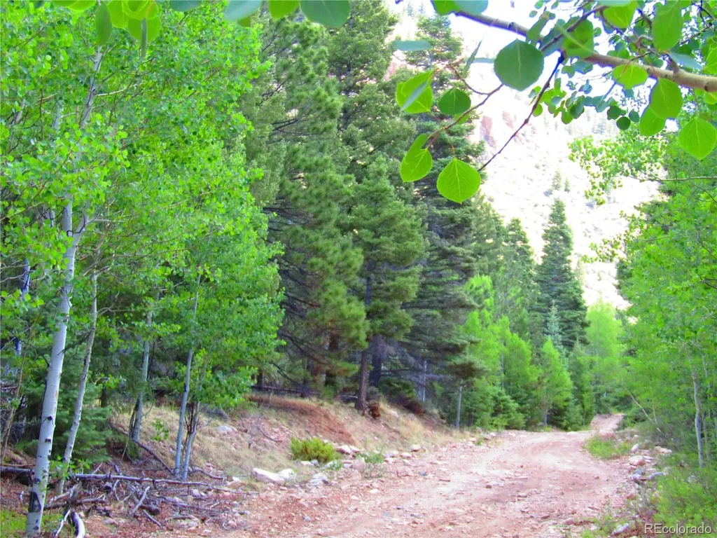Lot 6473 Malcolm Road San Luis CO 81152