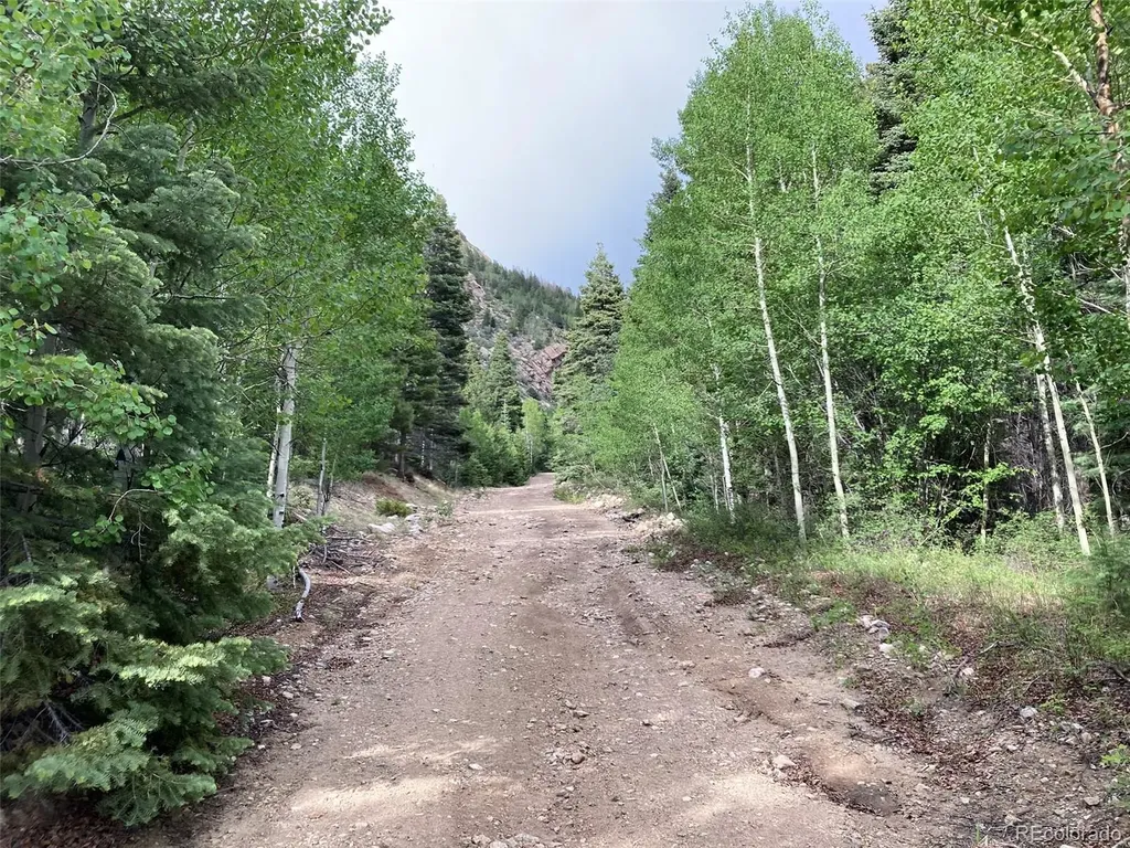 Lot 6473 Malcolm Road San Luis CO 81152