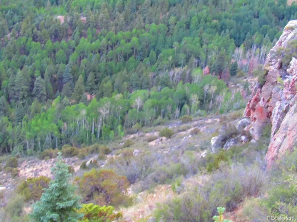 Lot 6473 Malcolm Road San Luis CO 81152