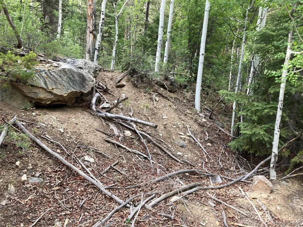 Lot 6473 Malcolm Road San Luis CO 81152