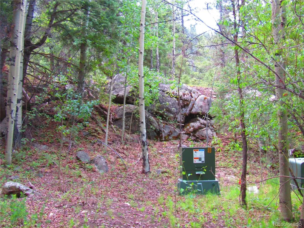Lot 6473 Malcolm Road San Luis CO 81152