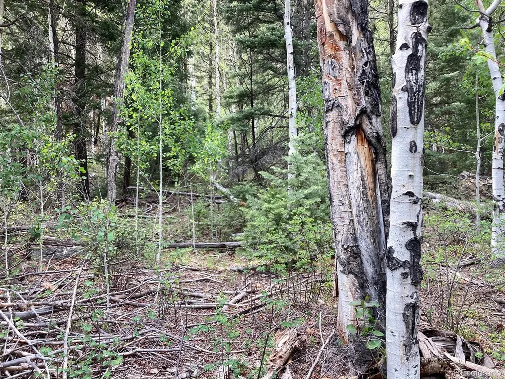 Lot 6473 Malcolm Road San Luis CO 81152