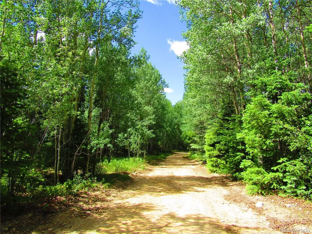 Lot 6473 Malcolm Road San Luis CO 81152