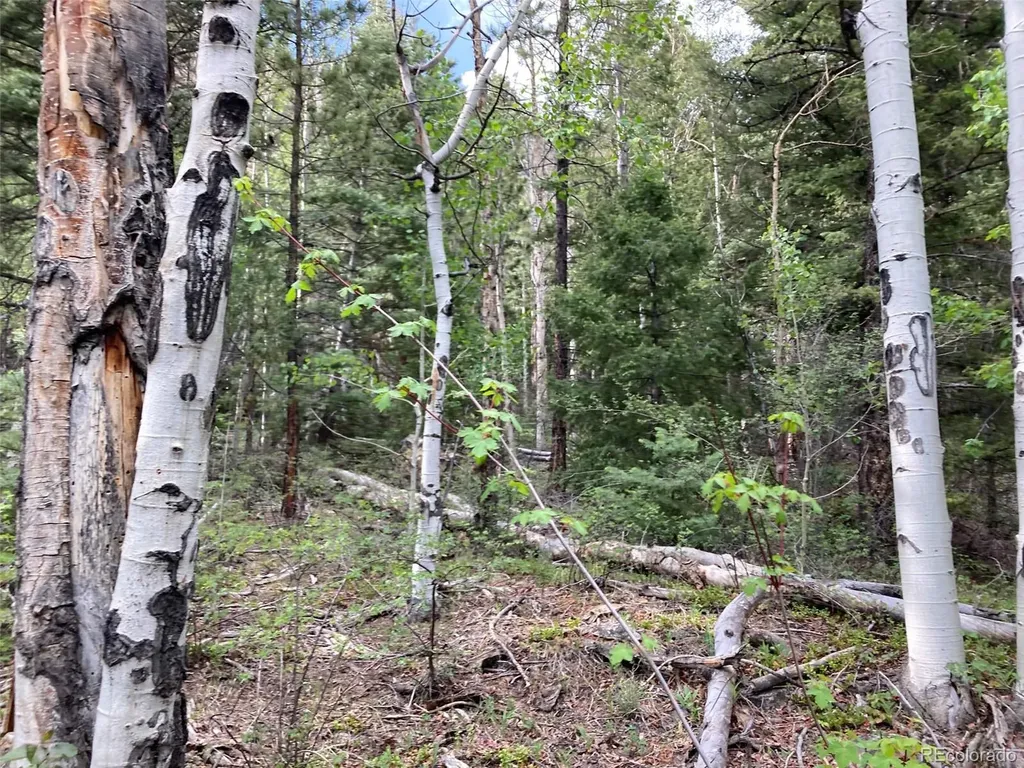 Lot 6473 Malcolm Road San Luis CO 81152