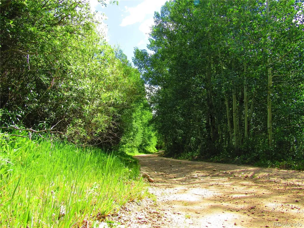 Lot 6473 Malcolm Road San Luis CO 81152
