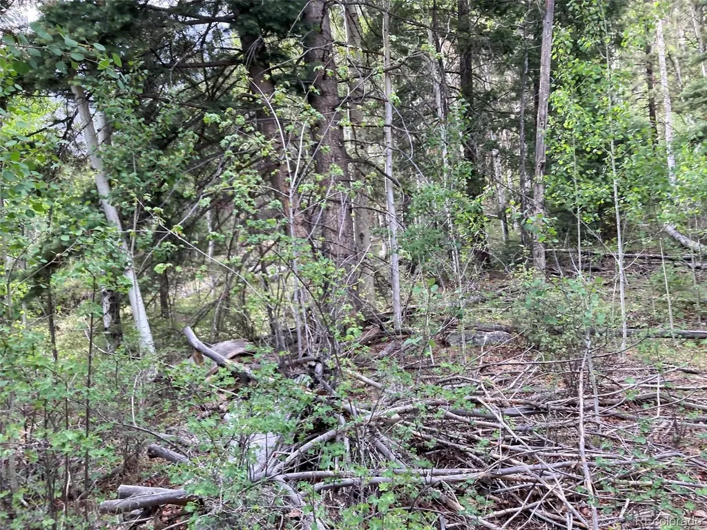 Lot 6473 Malcolm Road San Luis CO 81152