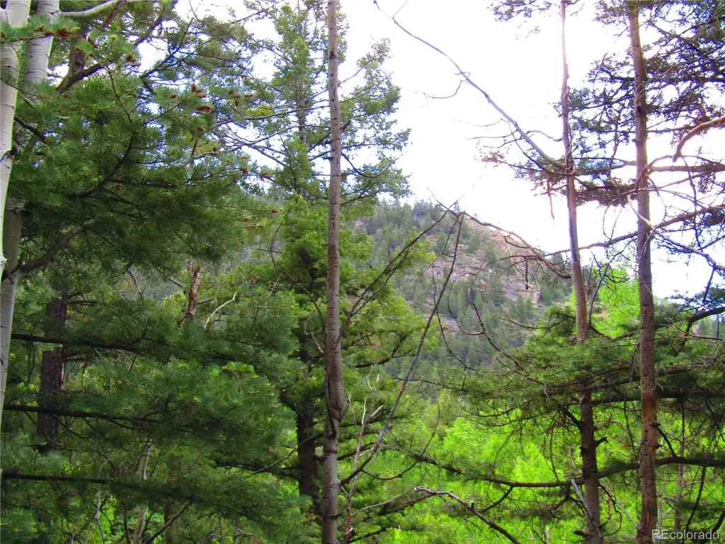 Lot 6473 Malcolm Road San Luis CO 81152