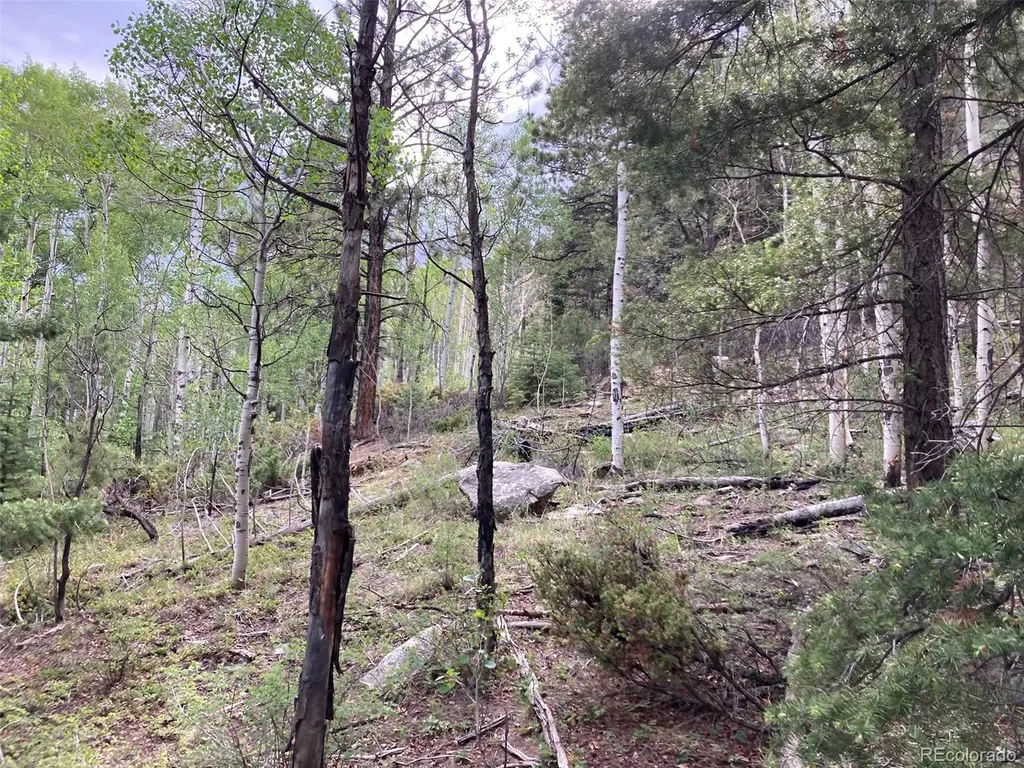 Lot 6473 Malcolm Road San Luis CO 81152