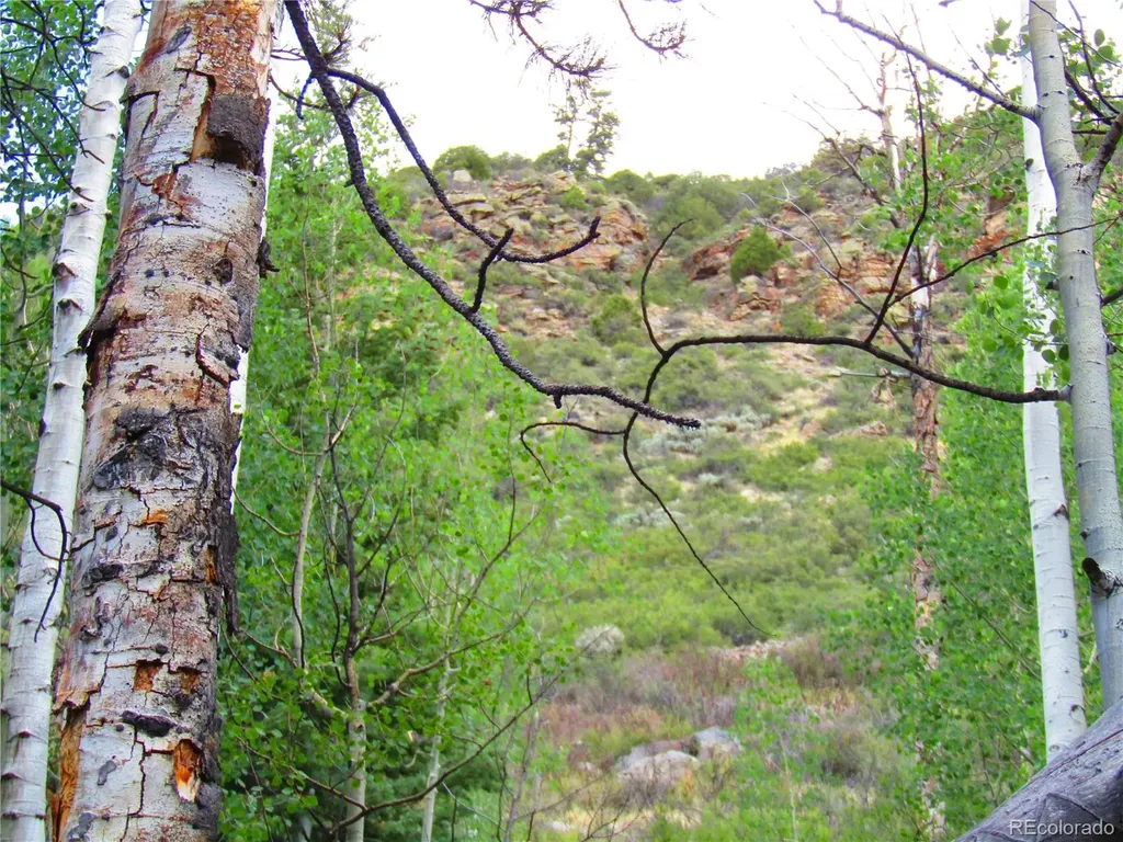 Lot 6473 Malcolm Road San Luis CO 81152