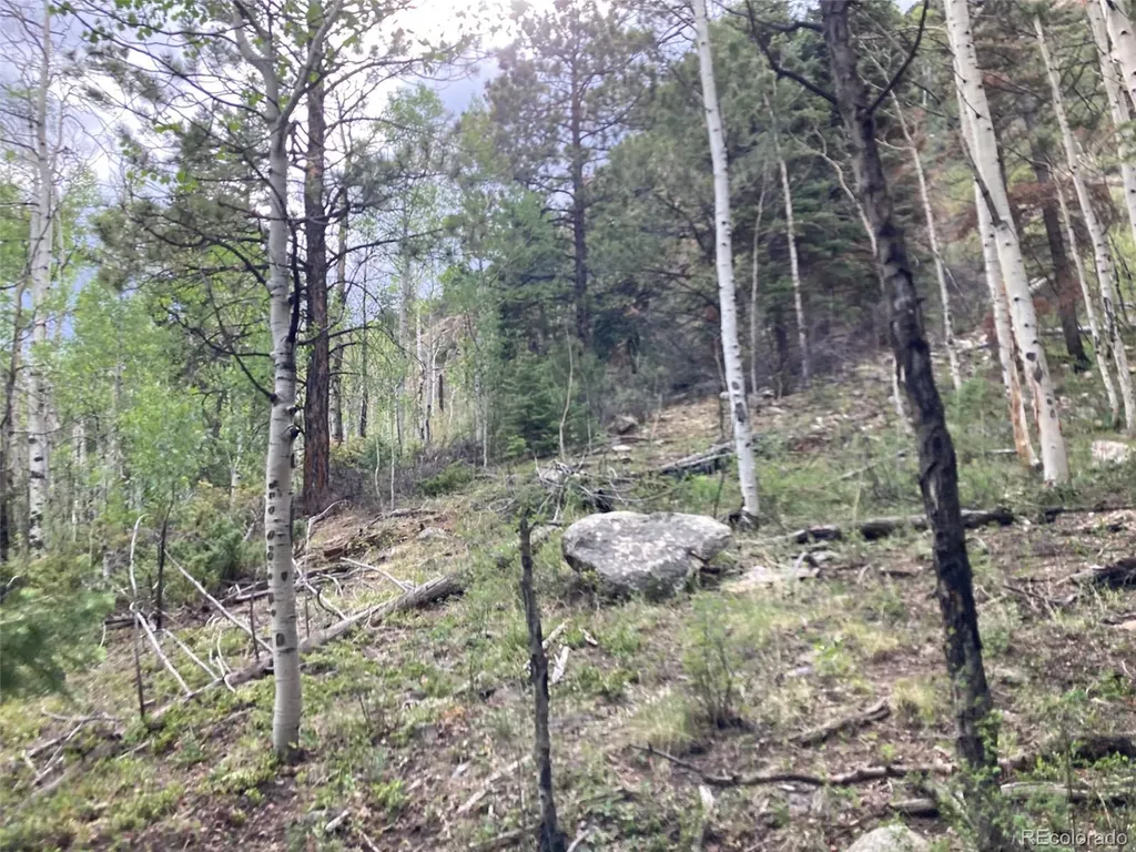 Lot 6473 Malcolm Road San Luis CO 81152