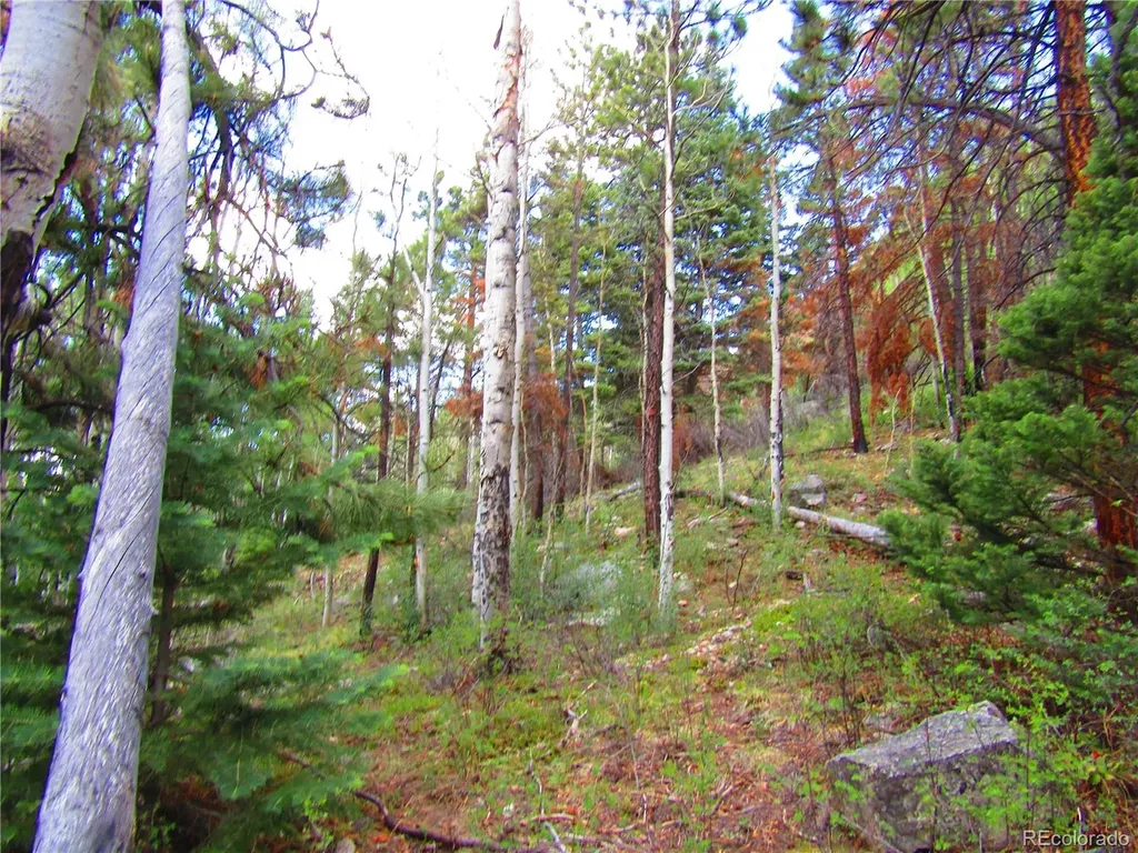 Lot 6473 Malcolm Road San Luis CO 81152