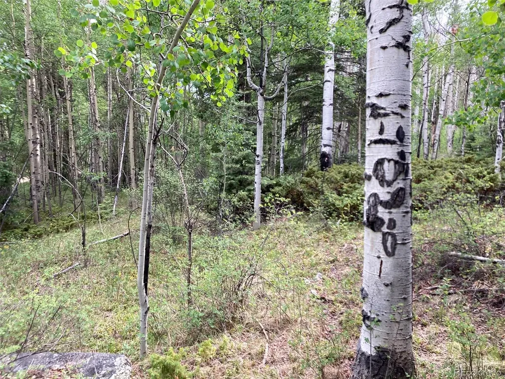 Lot 6473 Malcolm Road San Luis CO 81152