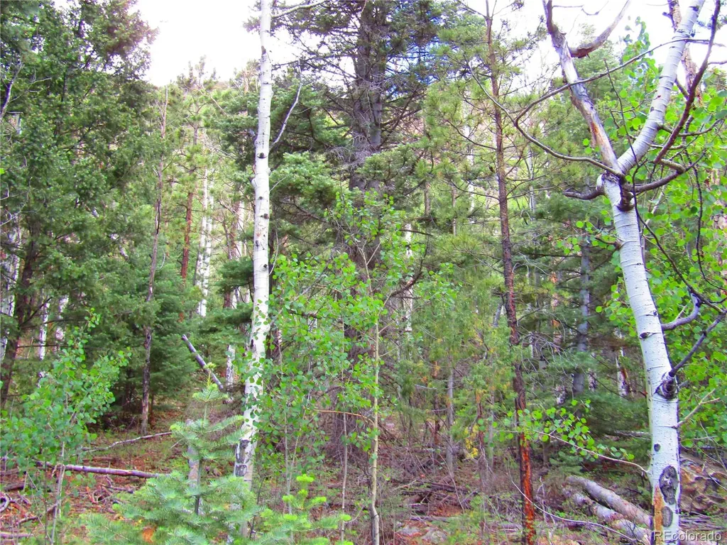 Lot 6473 Malcolm Road San Luis CO 81152