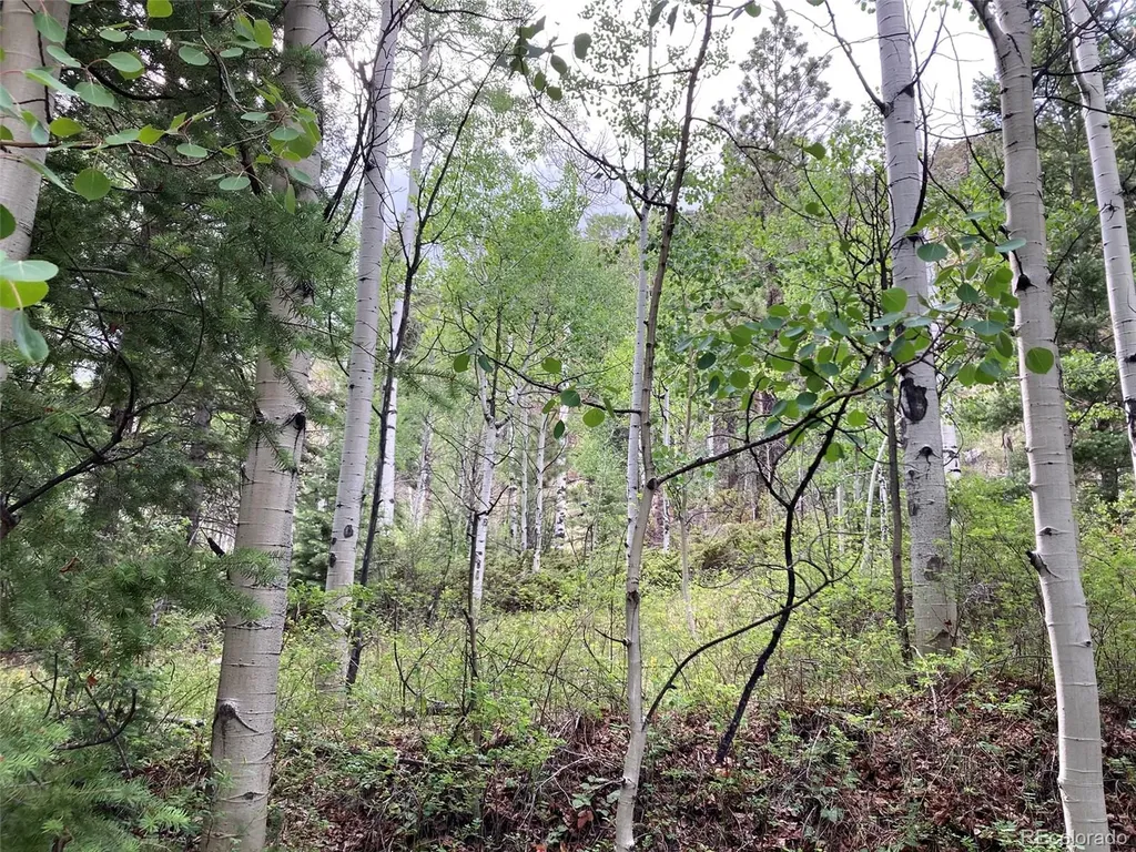 Lot 6473 Malcolm Road San Luis CO 81152