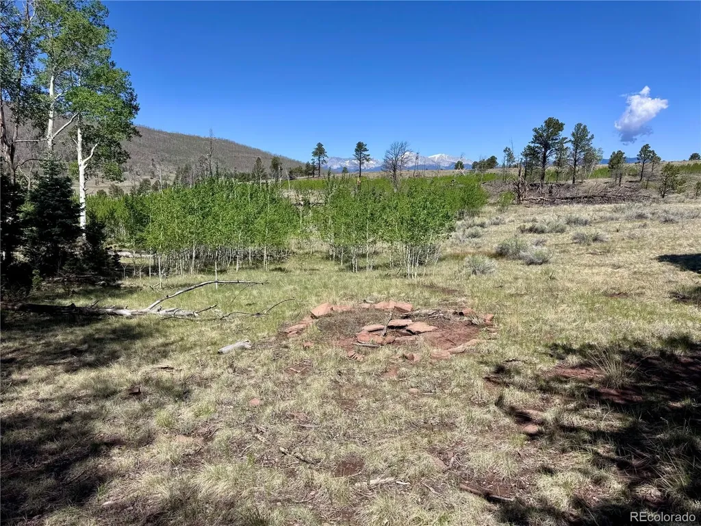 Lot 1102 Emery Loop Fort Garland CO 81152