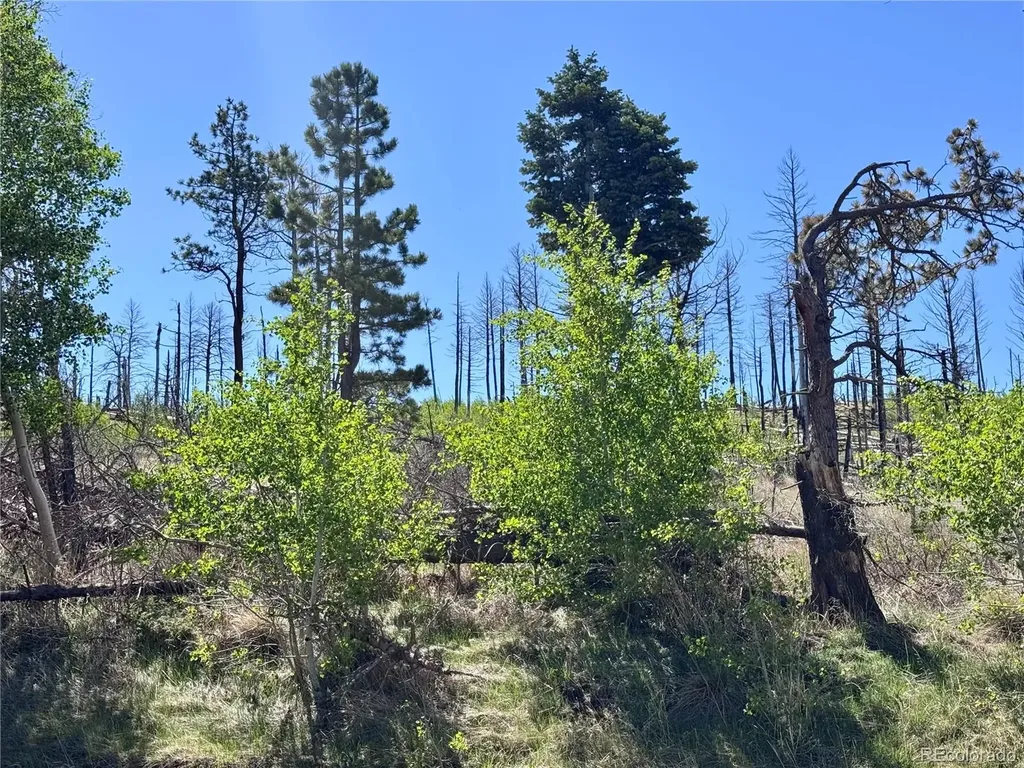 Lot 1102 Emery Loop Fort Garland CO 81152