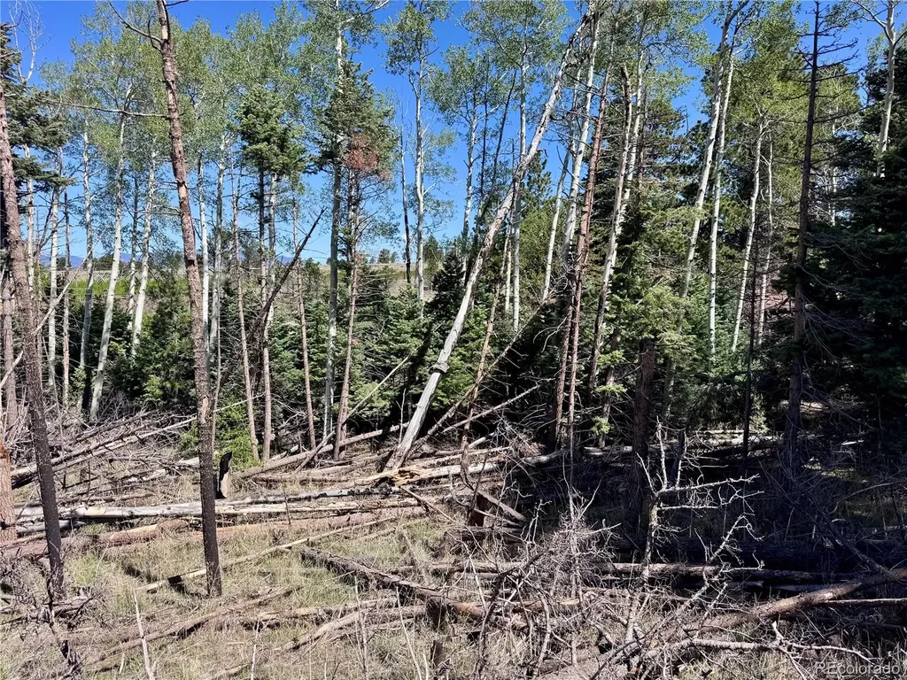 Lot 1102 Emery Loop Fort Garland CO 81152