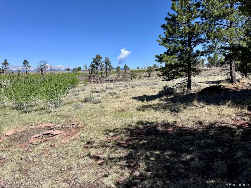 Lot 1102 Emery Loop Fort Garland CO 81152