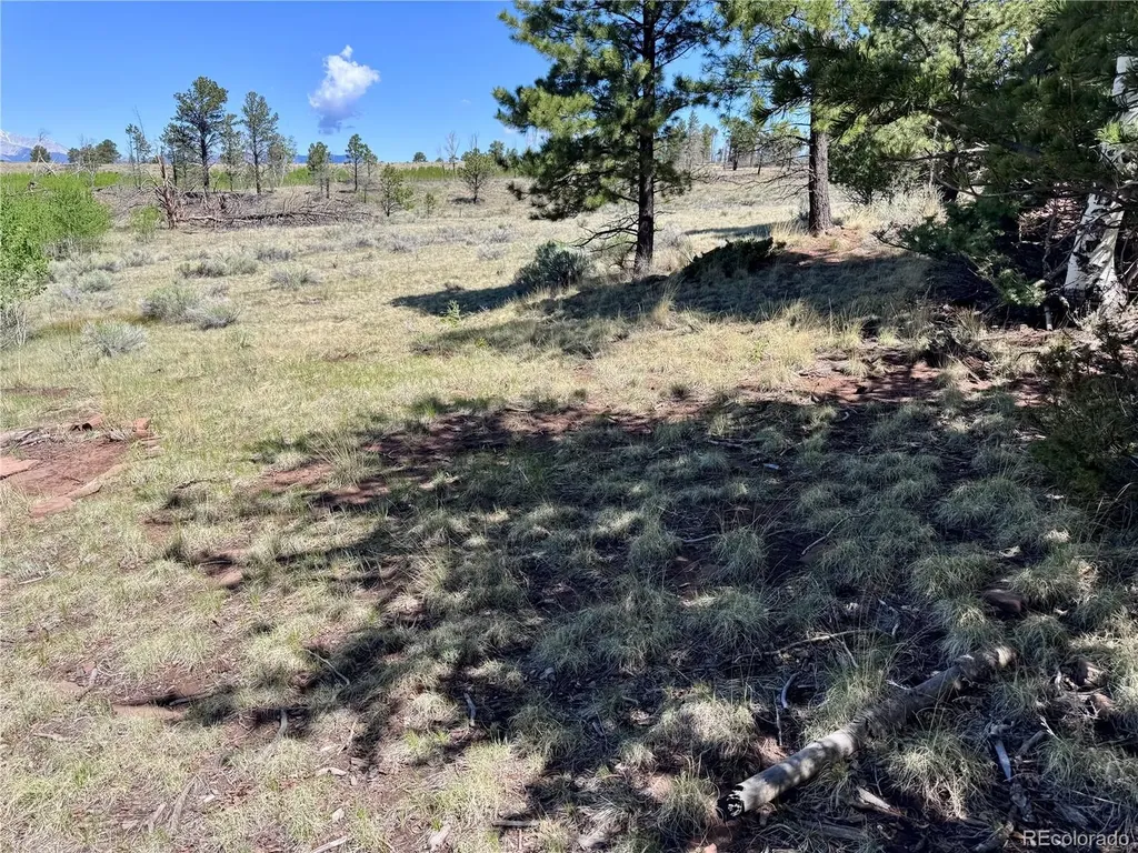 Lot 1102 Emery Loop Fort Garland CO 81152