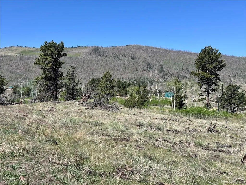 Lot 1102 Emery Loop Fort Garland CO 81152