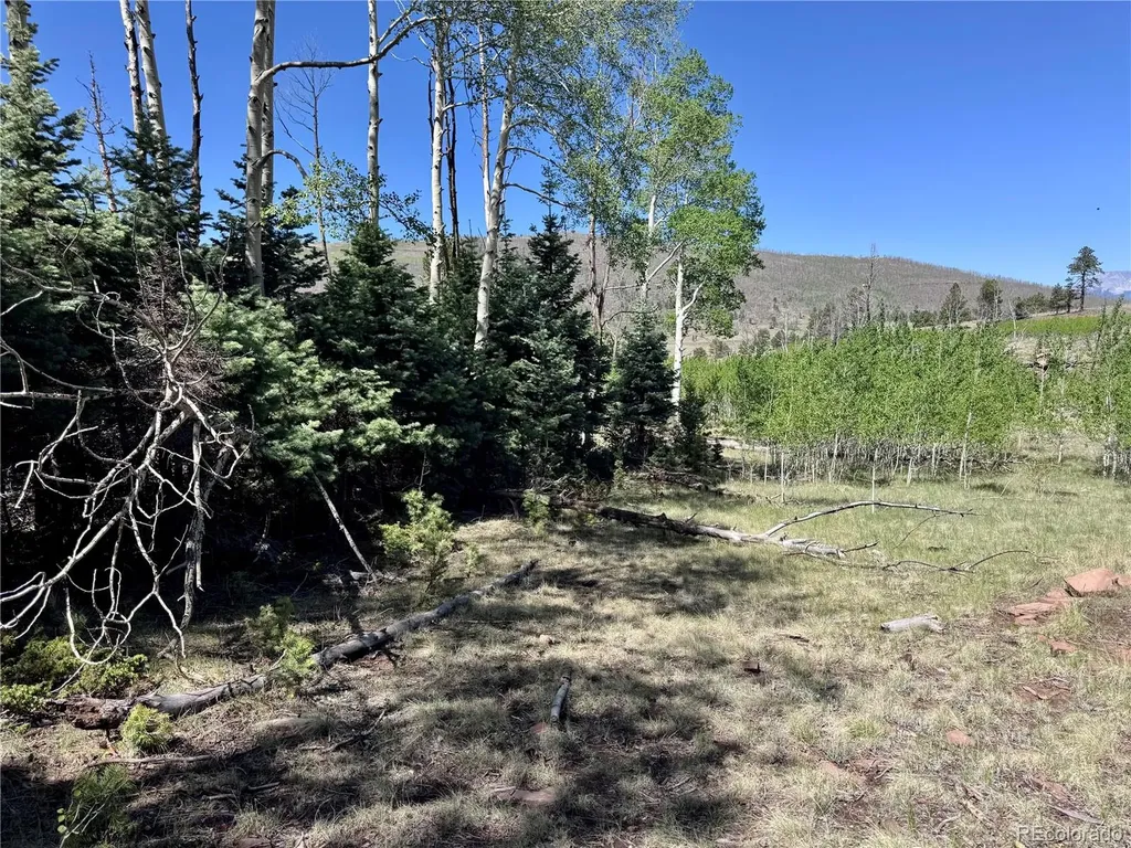 Lot 1102 Emery Loop Fort Garland CO 81152