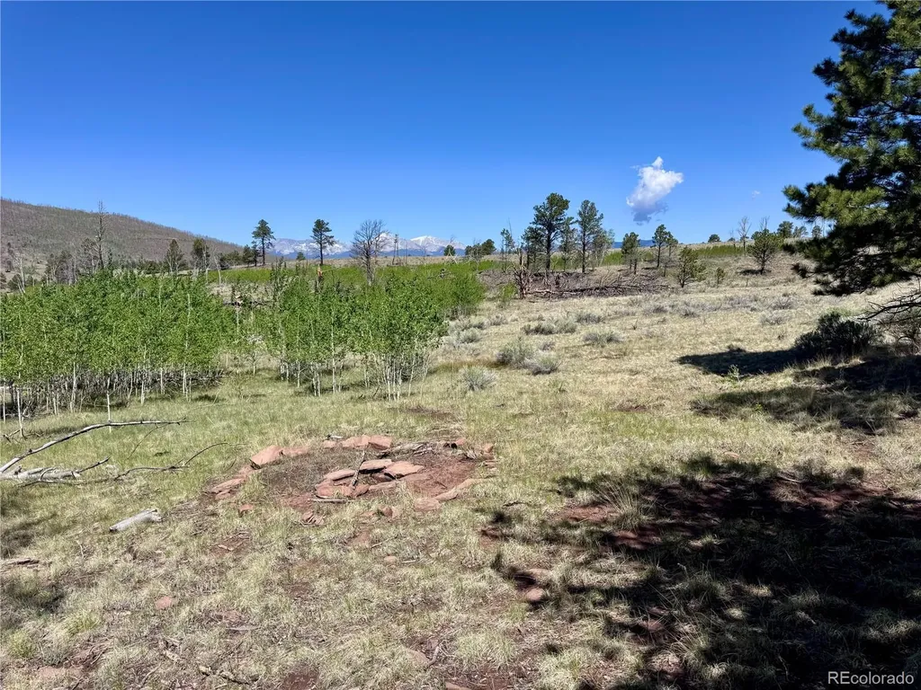 Lot 1102 Emery Loop Fort Garland CO 81152