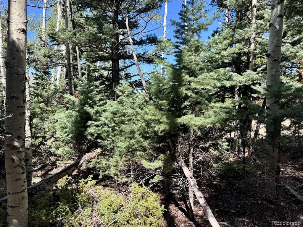 Lot 1102 Emery Loop Fort Garland CO 81152