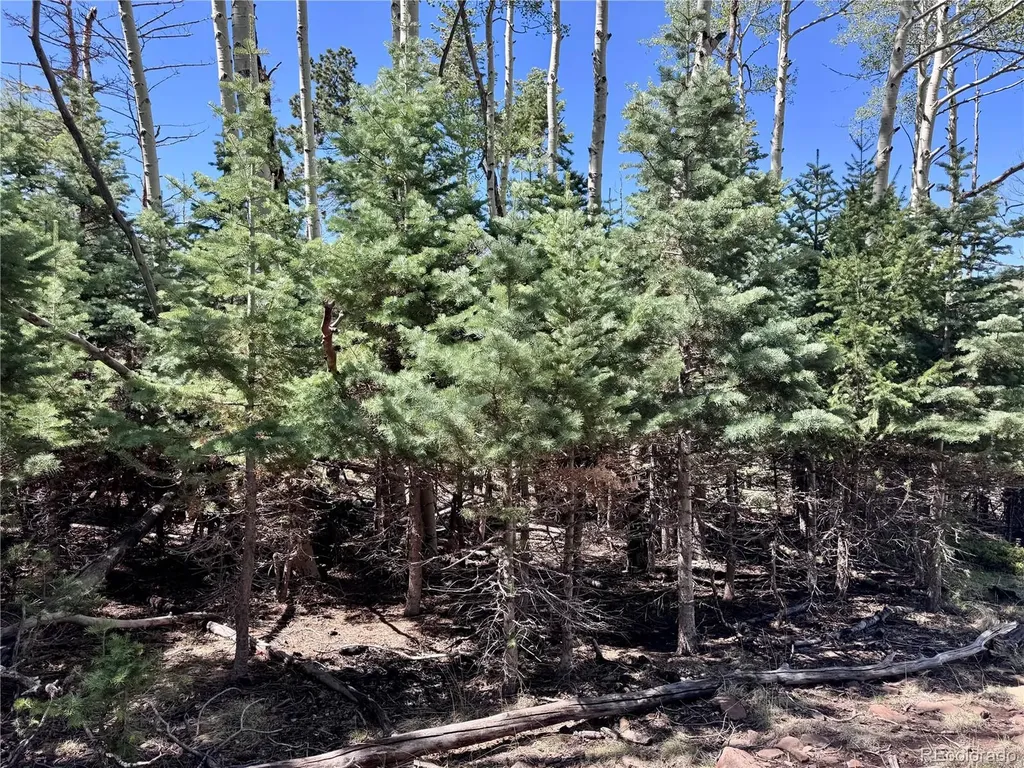 Lot 1102 Emery Loop Fort Garland CO 81152