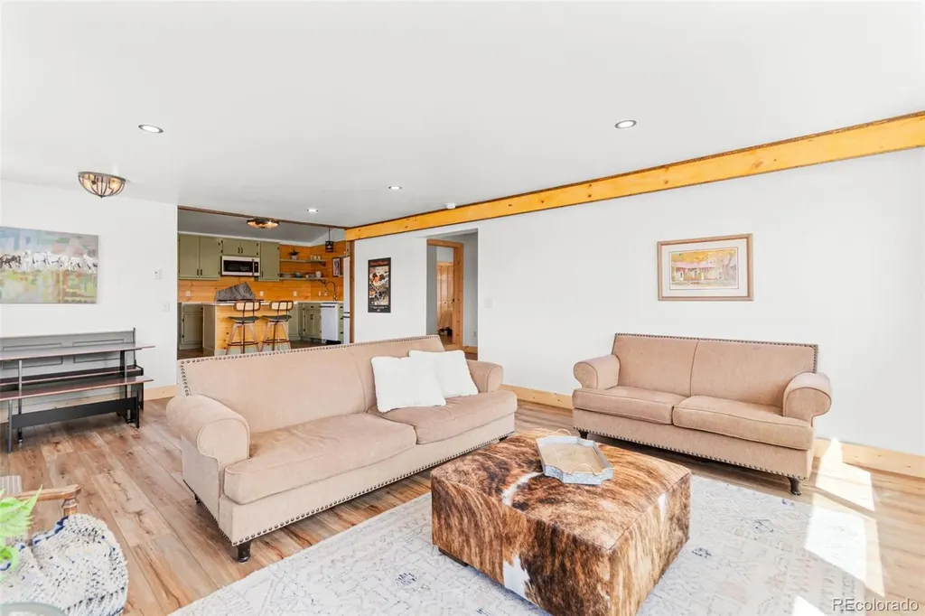428 W 6th Street Leadville CO 80461