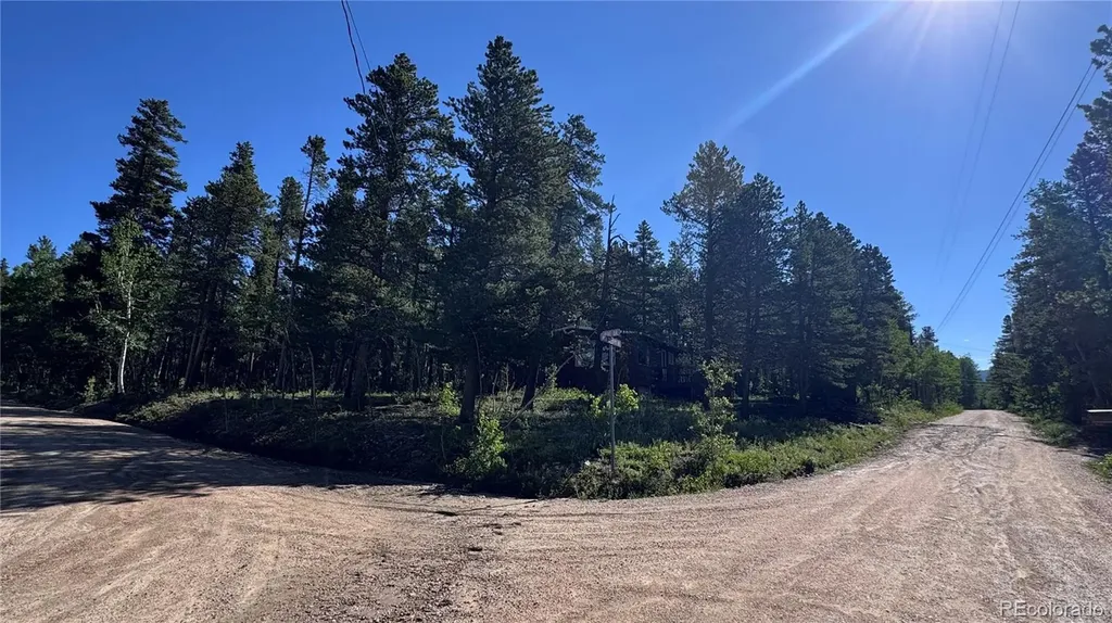 81 High Country Lane Black Hawk CO 80422