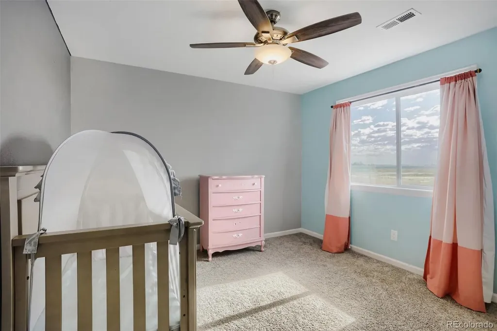 11732 Ouray Court Commerce City CO 80022
